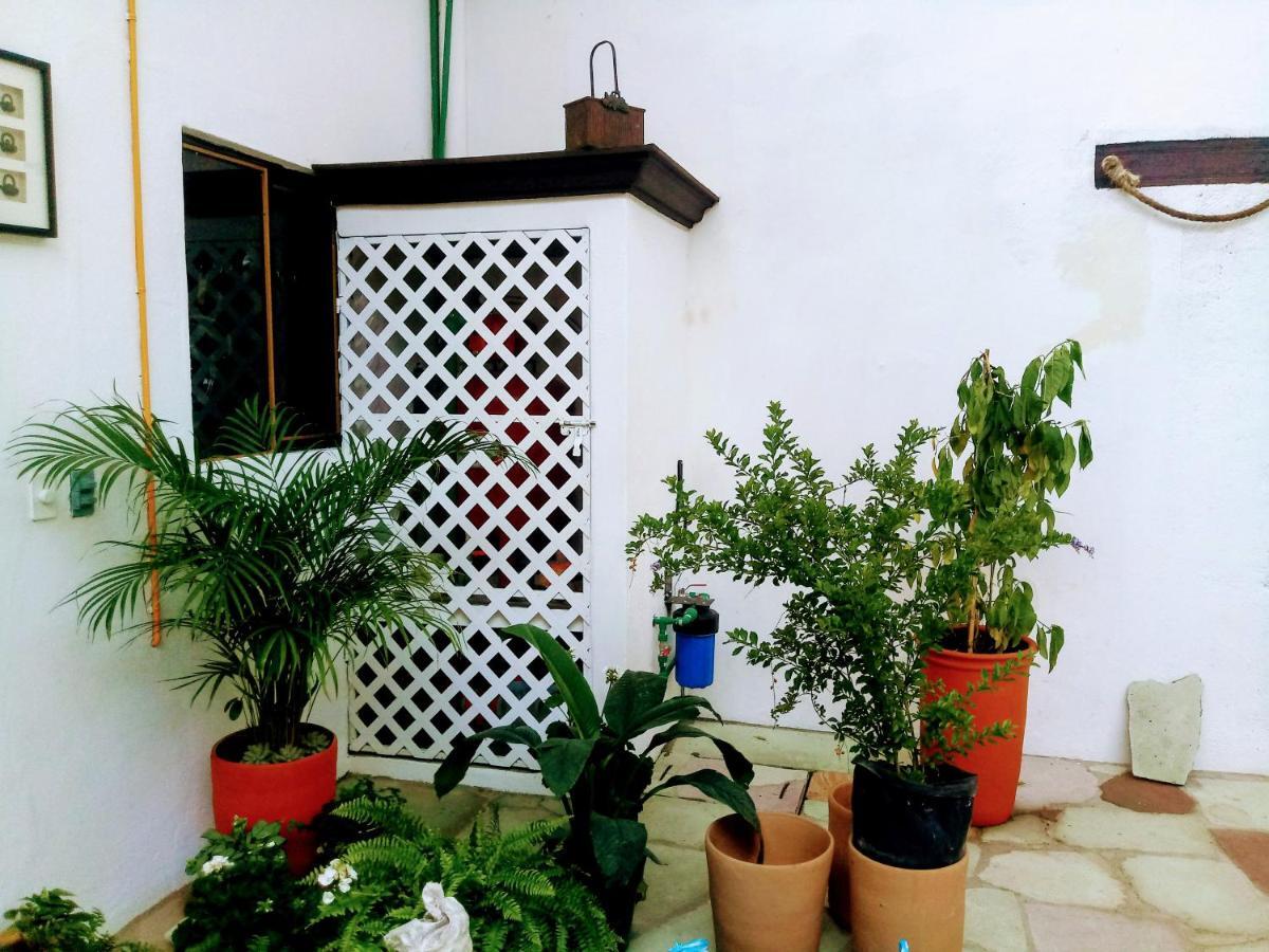 Casa Shalom Hotel Oaxaca Kültér fotó