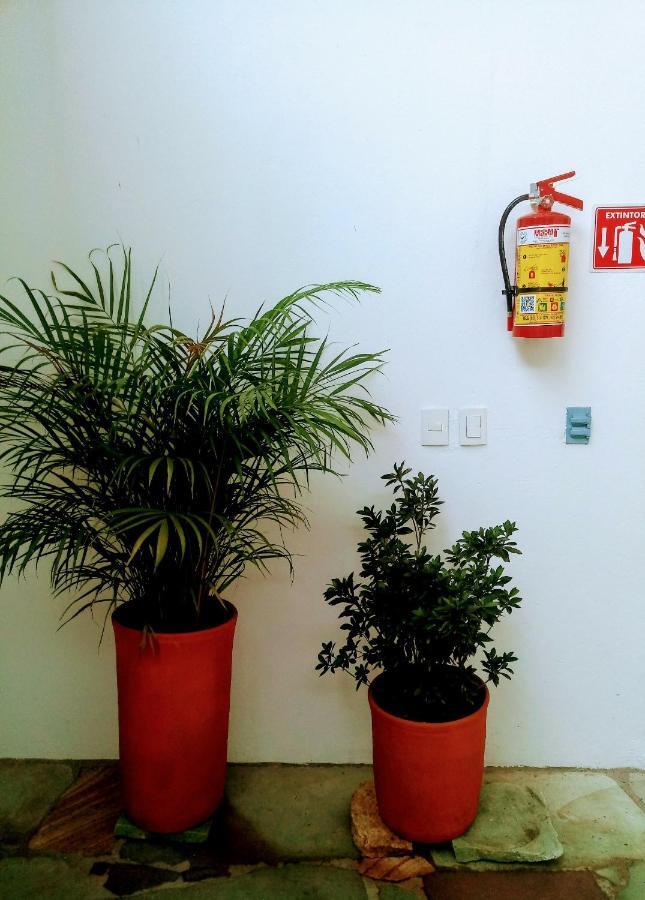 Casa Shalom Hotel Oaxaca Kültér fotó