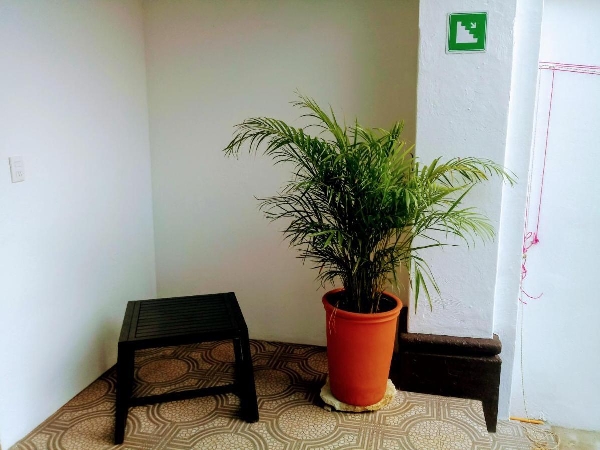 Casa Shalom Hotel Oaxaca Kültér fotó